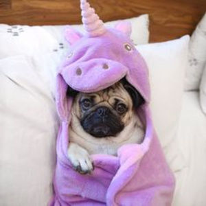 **BUNDLE & SAVE!***15% off 2 or more items**